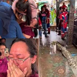 Pemilik Menangis Histeris Saat Buaya Coki Dievakuasi dari Rumah