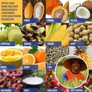 Prof Dr Sutan Nasomal Menghimbau Lahan Gambut Saatnya Dijadikan Pertanian Perkebunan Bukan Dibakar Ironis!!!