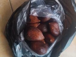 Manfaat Buah Salak untuk Kesehatan, Kaya Serat dan Antioksidan