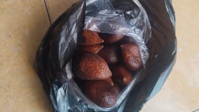 Manfaat Buah Salak untuk Kesehatan, Kaya Serat dan Antioksidan